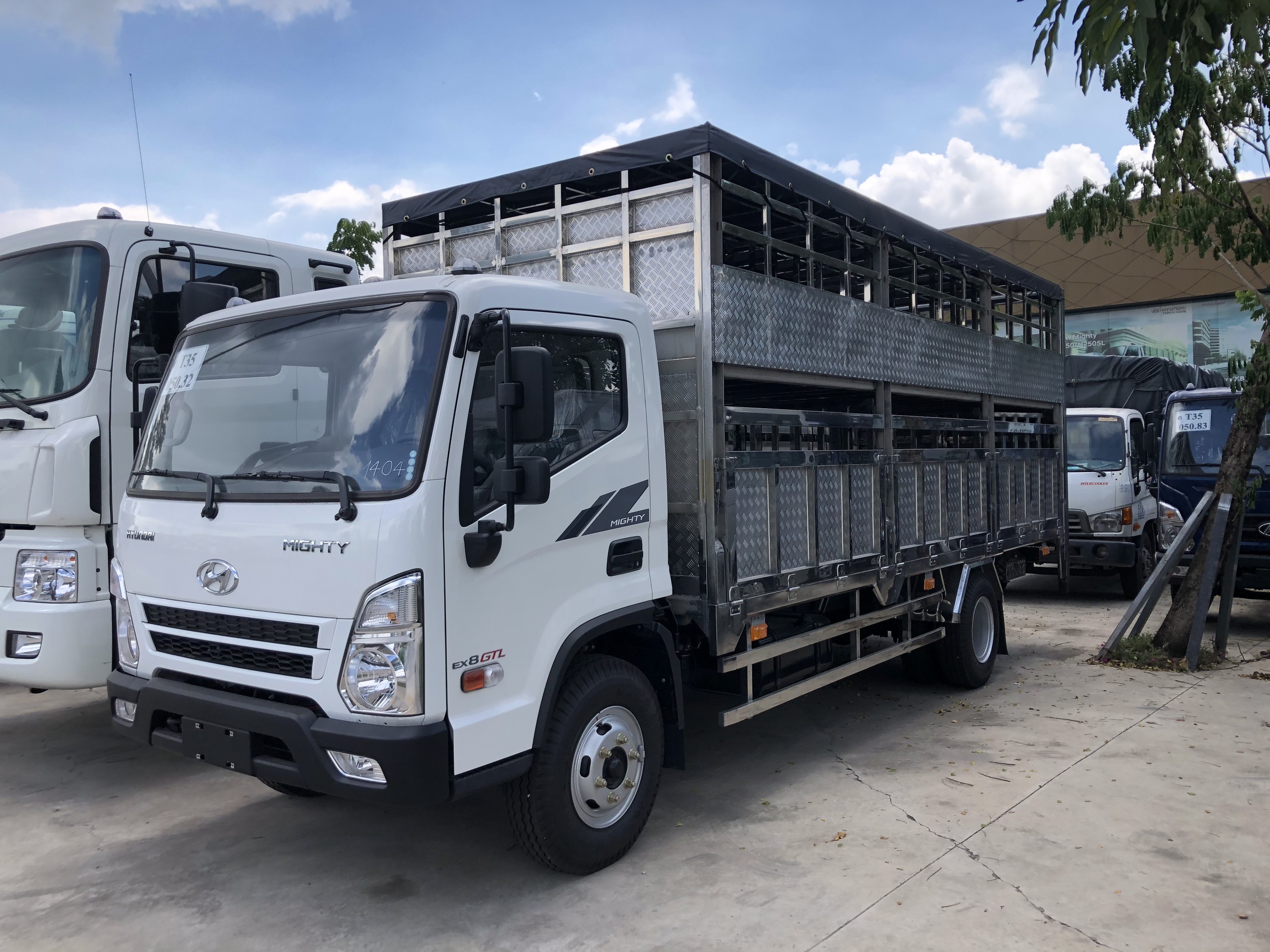 Mighty EX8 GTL chở heo 5 tấn