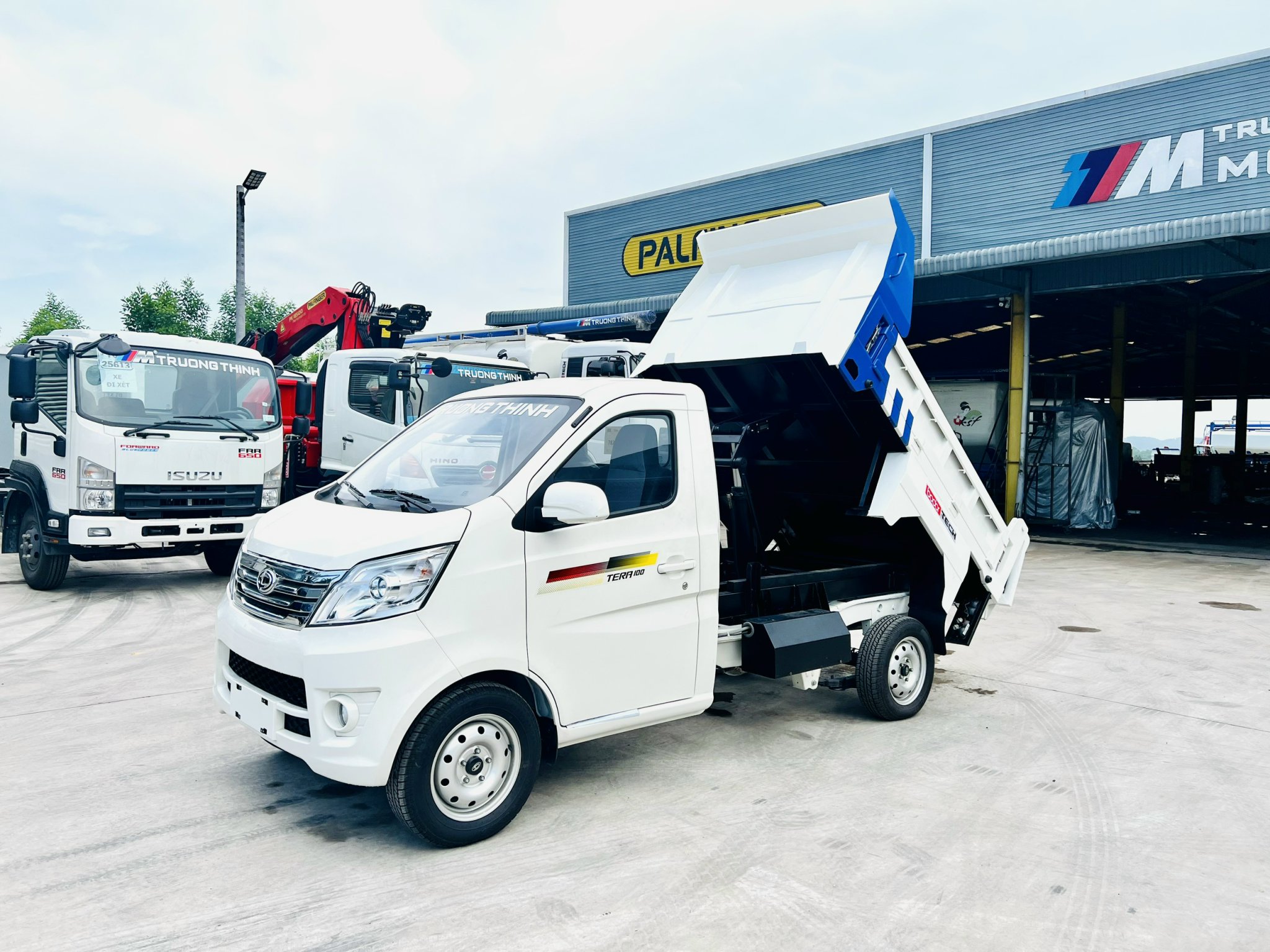 XE BEN 770 KG TERA 100